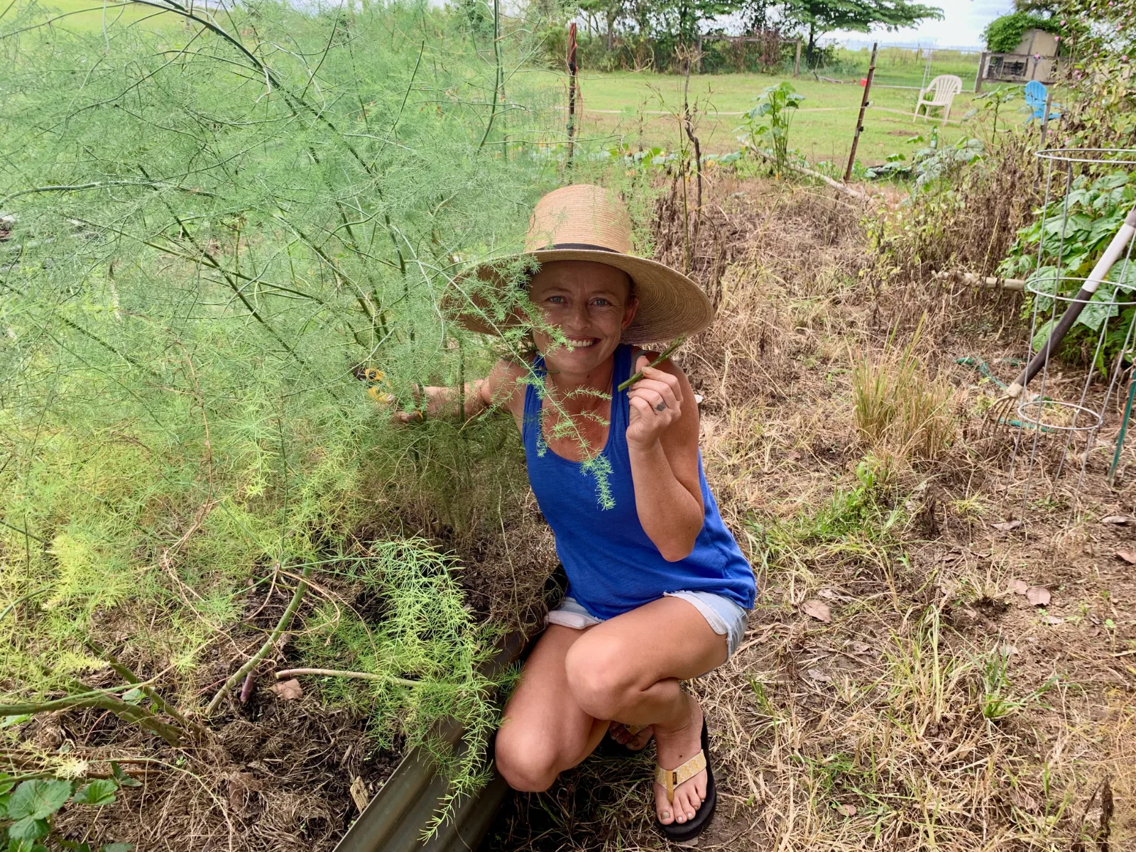 Me in the garden next to a raised garden bed with asparagus plants, holding an asparagus spear.