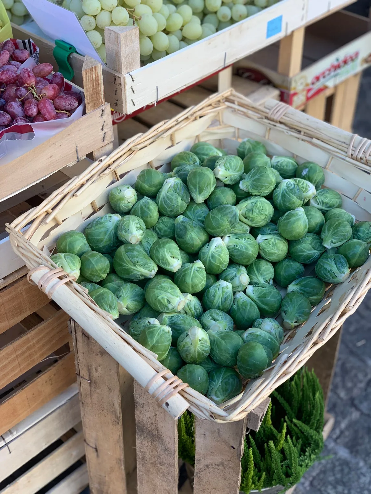 Vibrant Brussels sprouts displayed in a wicker basket at an outdoor market