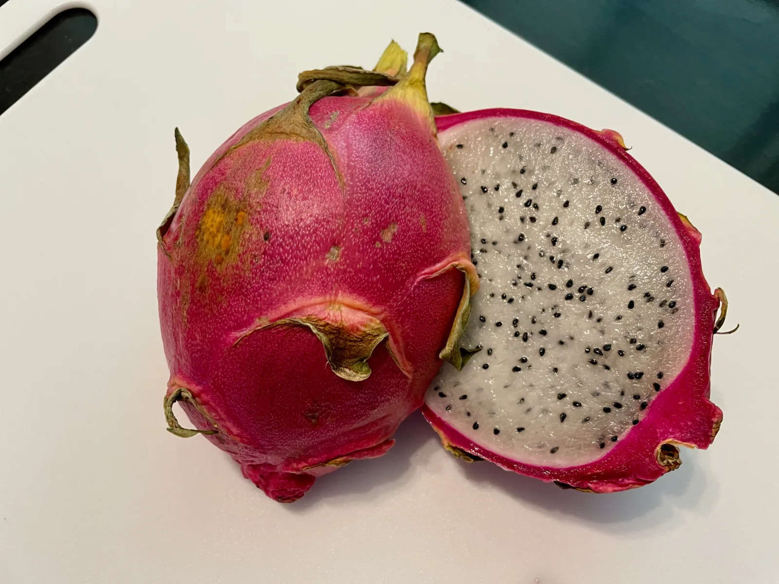 dragon fruit homegrown plant