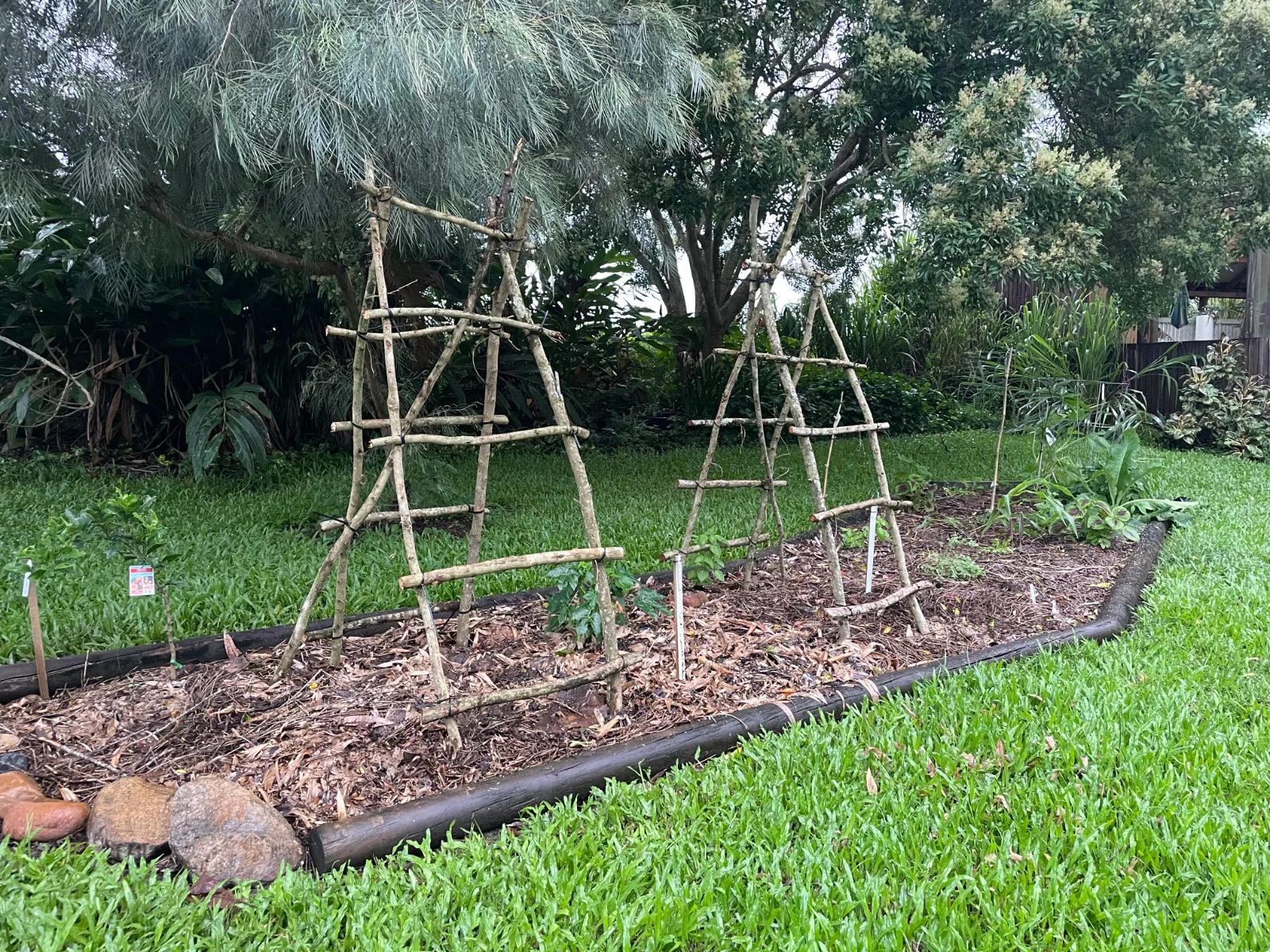 Two wooden A-frame trellises stand in a mulched garden bed bordered by timber logs.