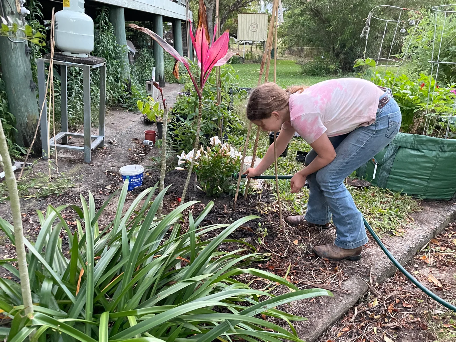 A person waters the soil around a garden bed with a hose in a backyard setting.