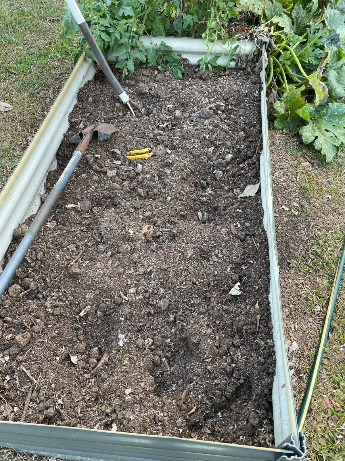 A shovel and garden shears sit on dry, clumpy soil inside a metal raised garden bed.