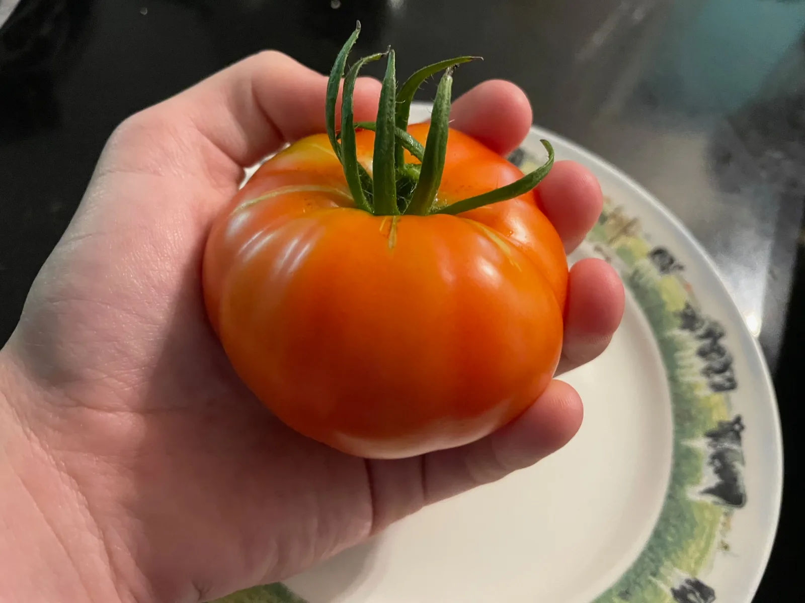 Red tomato held in a person's hand.